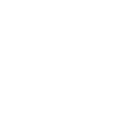 The Dallas Morning News